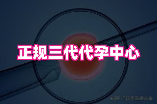国际助孕网 4